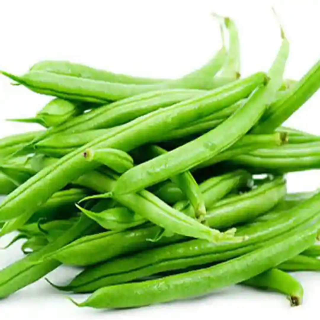 Wholesale Vegetable Beans (OOTY Beans) Supplier – Dubai, UAE